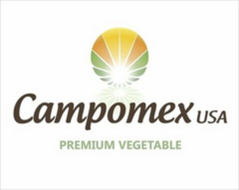 CAMPOMEX USA PREMIUM VEGETABLE Logo (USPTO, 07.03.2019)