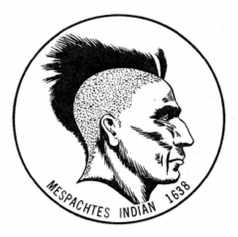 MESPACHTES INDIAN 1638 Logo (USPTO, 20.08.2009)