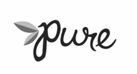 PURE Logo (USPTO, 09.04.2010)