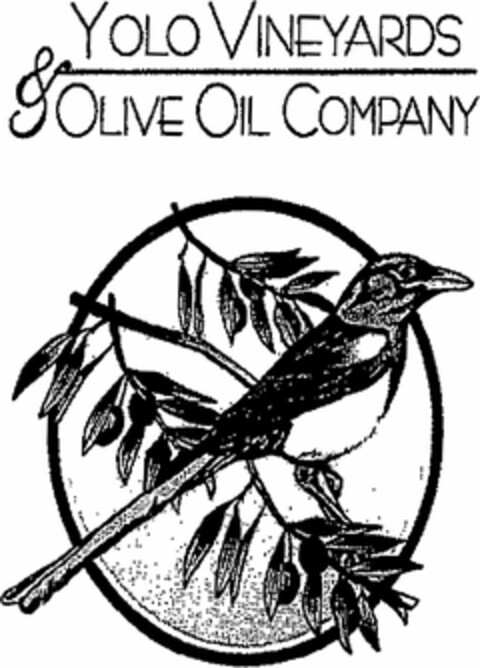 YOLO VINEYARDS & OLIVE OIL COMPANY Logo (USPTO, 29.09.2010)