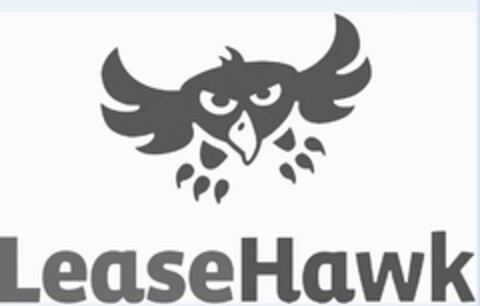 LEASEHAWK Logo (USPTO, 08.07.2016)