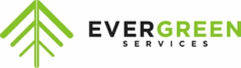 EVERGREEN SERVICES Logo (USPTO, 12.01.2017)