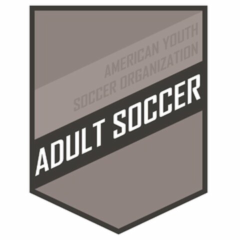 AMERICAN YOUTH SOCCER ORGANIZATION ADULT SOCCER Logo (USPTO, 06.10.2017)