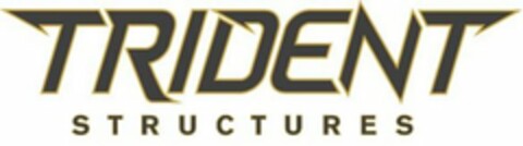 TRIDENT STRUCTURES Logo (USPTO, 16.05.2019)