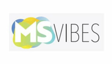 MSVIBES Logo (USPTO, 18.08.2020)