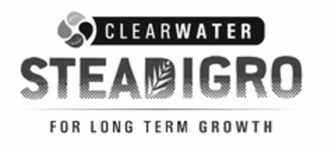 CLEARWATER STEADIGRO FOR LONG TERM GROWTH Logo (USPTO, 10.03.2009)