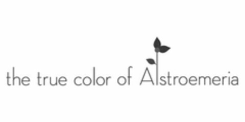 THE TRUE COLOR OF ALSTROEMERIA Logo (USPTO, 02/07/2011)