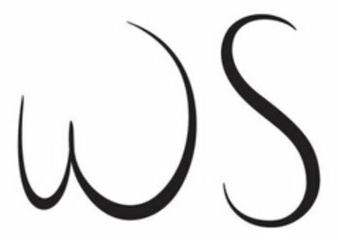 WS Logo (USPTO, 16.08.2013)