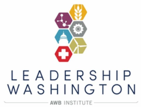 LEADERSHIP WASHINGTON AWB INSTITUTE Logo (USPTO, 03/28/2014)