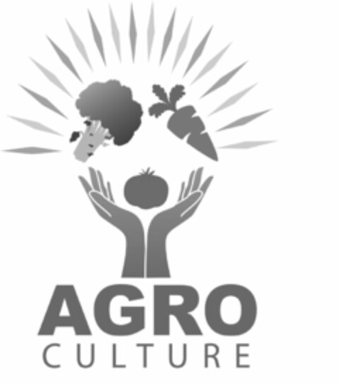 AGRO CULTURE Logo (USPTO, 08/28/2018)
