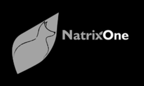 NATRIXONE Logo (USPTO, 23.03.2020)