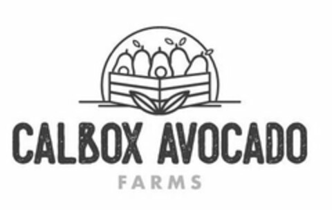 CALBOX AVOCADO FARMS Logo (USPTO, 06/18/2020)