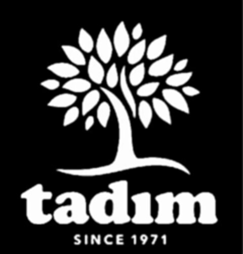 TADIM SINCE 1971 Logo (USPTO, 19.06.2020)