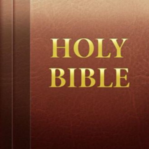 HOLY BIBLE Logo (USPTO, 26.04.2011)