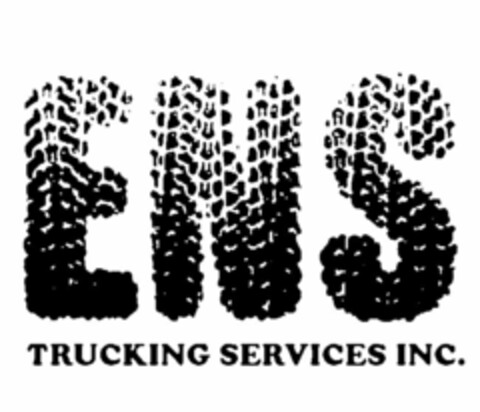 ENS TRUCKING SERVICES INC. Logo (USPTO, 15.08.2013)