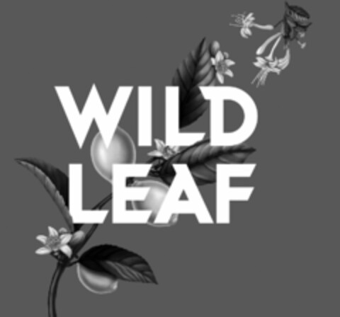 WILD LEAF Logo (USPTO, 20.12.2018)