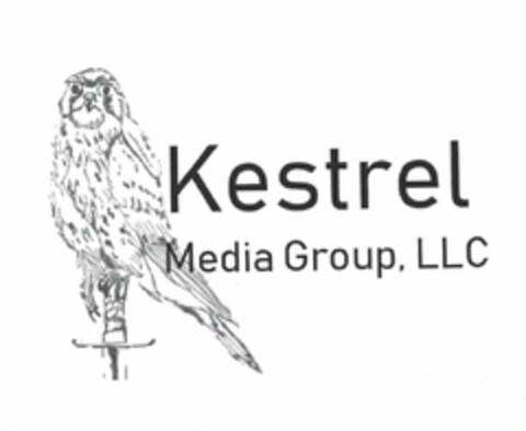 KESTREL MEDIA GROUP, LLC Logo (USPTO, 06.03.2019)