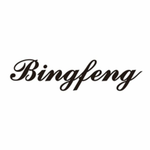 BINGFENG Logo (USPTO, 03.01.2020)