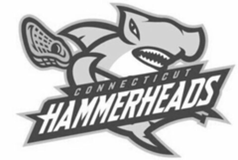 CONNECTICUT HAMMERHEADS Logo (USPTO, 11.02.2020)