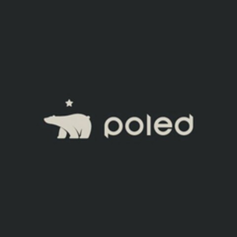 POLED Logo (USPTO, 16.03.2020)