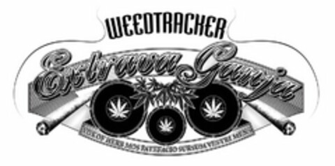 EXTRAVAGANJA WEEDTRACKER VOX OF HERB MOS PATEFACIO SURSUM VESTRI MENS Logo (USPTO, 22.07.2009)