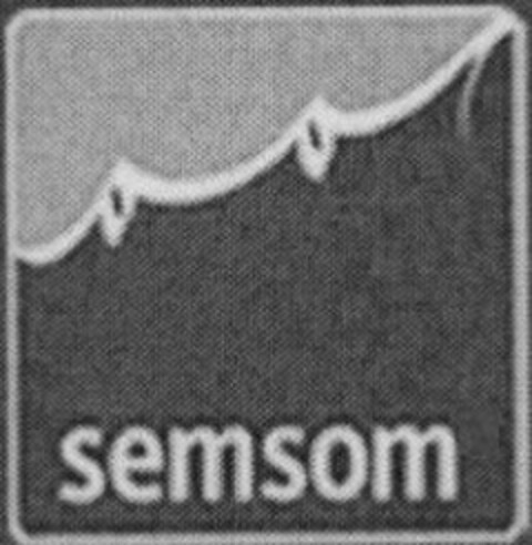 SEMSOM Logo (USPTO, 11/23/2009)