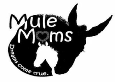 MULE MOMS DREAMS COME TRUE. Logo (USPTO, 05/28/2010)