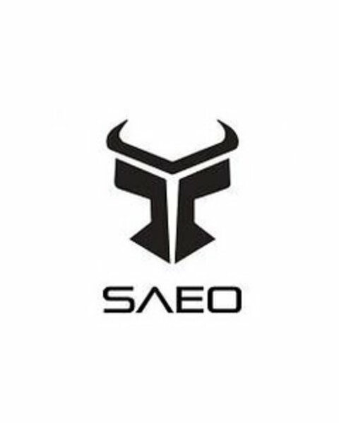 SAEO Logo (USPTO, 20.11.2017)