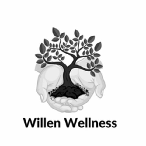 WILLEN WELLNESS Logo (USPTO, 03.09.2020)