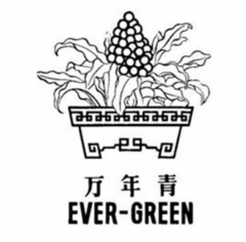 EVER-GREEN Logo (USPTO, 24.08.2016)