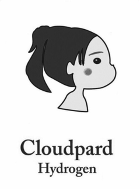 CLOUDPARD HYDROGEN Logo (USPTO, 06/21/2018)