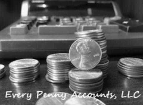 EVERY PENNY ACCOUNTS, LLC 2015 Logo (USPTO, 13.12.2018)
