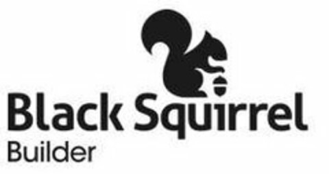 BLACK SQUIRREL BUILDER Logo (USPTO, 21.12.2018)