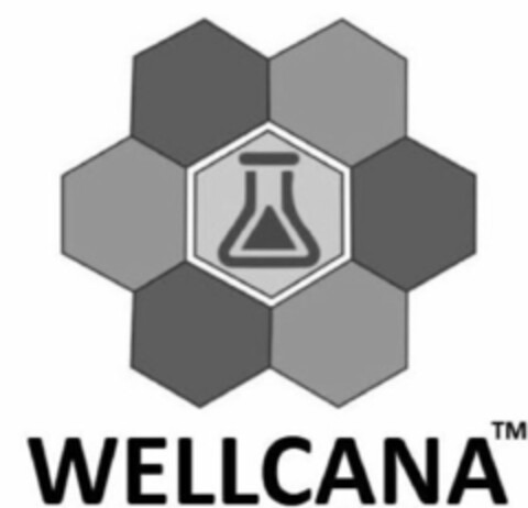 WELLCANA Logo (USPTO, 24.07.2020)