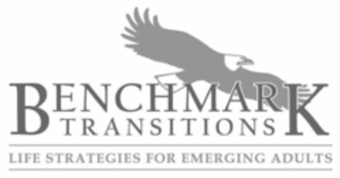 BENCHMARK TRANSITIONS LIFE STRATEGIES FOR EMERGING ADULTS Logo (USPTO, 06.09.2011)