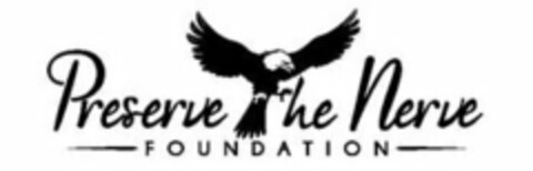 PRESERVE THE NERVE FOUNDATION Logo (USPTO, 17.12.2013)