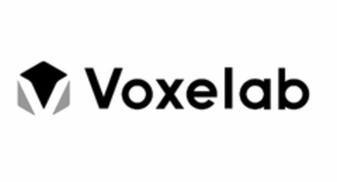 VOXELAB Logo (USPTO, 07/15/2020)