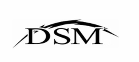 DSM Logo (USPTO, 09.07.2010)