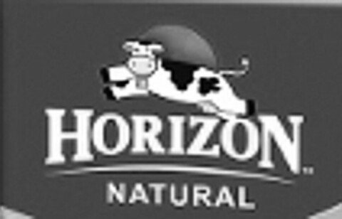 HORIZON NATURAL Logo (USPTO, 07.10.2010)