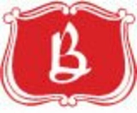 B Logo (USPTO, 22.08.2015)