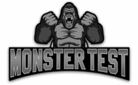 MONSTER TEST Logo (USPTO, 12.07.2018)