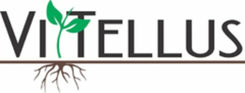 VITTELLUS Logo (USPTO, 29.08.2018)