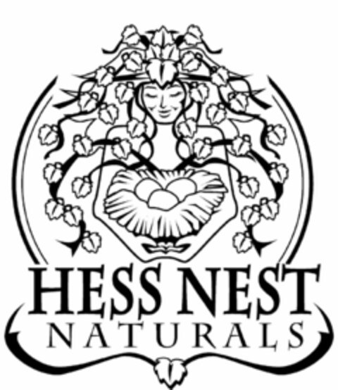 HESS NEST NATURALS Logo (USPTO, 09/05/2018)