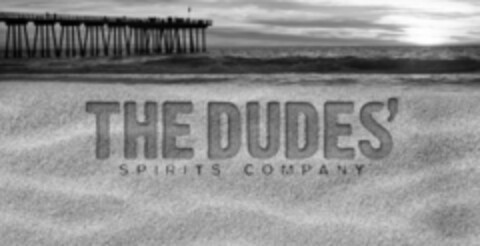 THE DUDES' SPIRITS COMPANY Logo (USPTO, 30.11.2019)