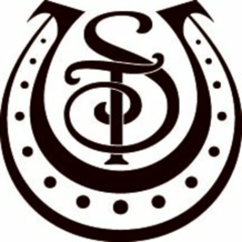 ST Logo (USPTO, 06.05.2010)