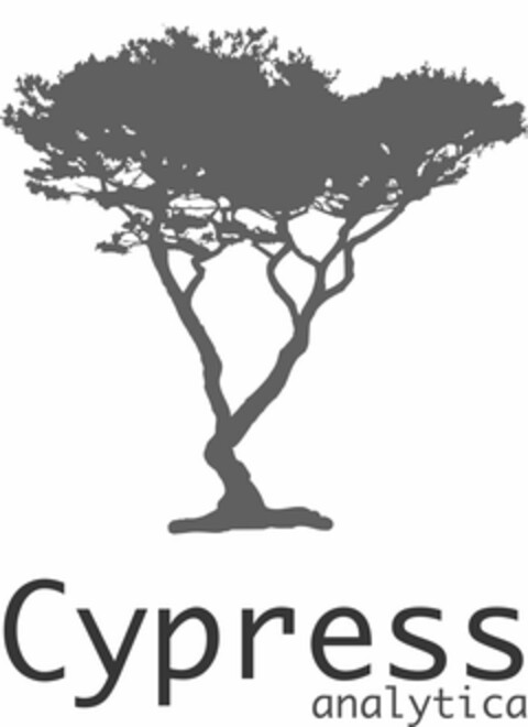 CYPRESS ANALYTICA Logo (USPTO, 07.09.2011)