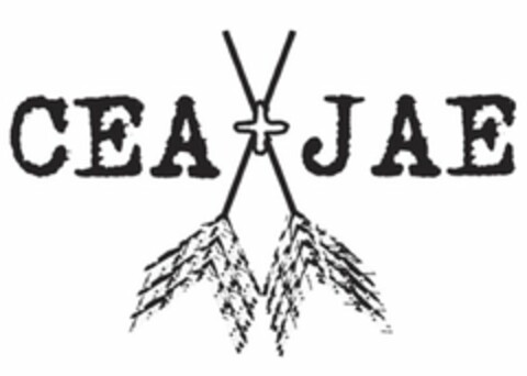 CEA + JAE Logo (USPTO, 01.04.2013)