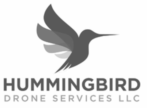 HUMMINGBIRD DRONE SERVICES LLC Logo (USPTO, 08.07.2016)