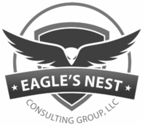 EAGLE'S NEST CONSULTING GROUP, LLC Logo (USPTO, 01.11.2016)