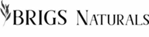 BRIGS NATURALS Logo (USPTO, 19.02.2020)